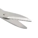 3-1000x1000 (29).webp