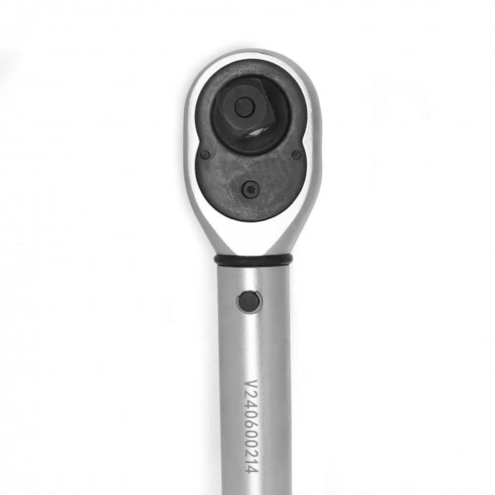 DSC02391 copy-min-1000x1000.webp