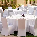 Banquet Chair Stretch Covers- White and beige.3.webp