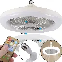 Fan With Led Light 30w..webp