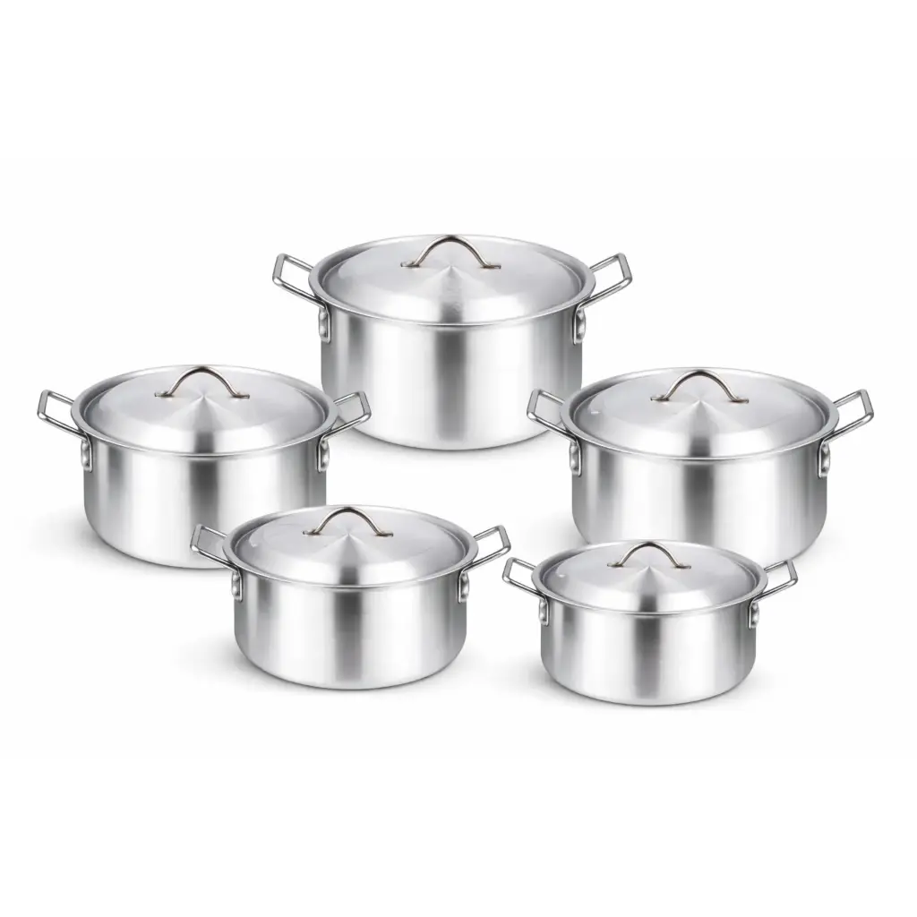 COOKWARE SET 10PCS PROFESSIONAL 2-6