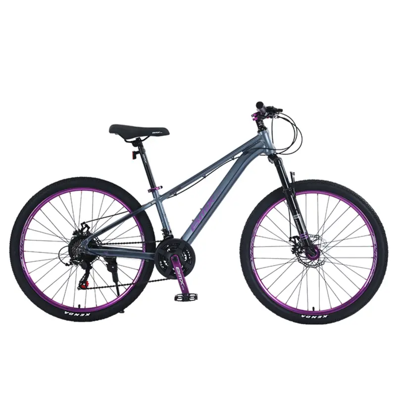 BICYCLE 26"(RH260019-15700-16)