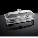ACRYLIC BOX 25*9*11CM 6636