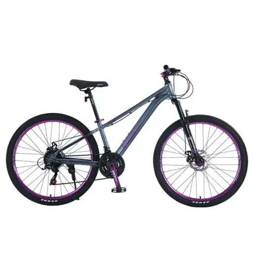 [6970043180189] BICYCLE 26"(RH260019-15700-16)