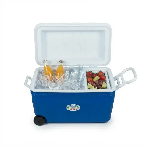 [18-IBS-60W] ICE BOX WITH WHEEL 60L